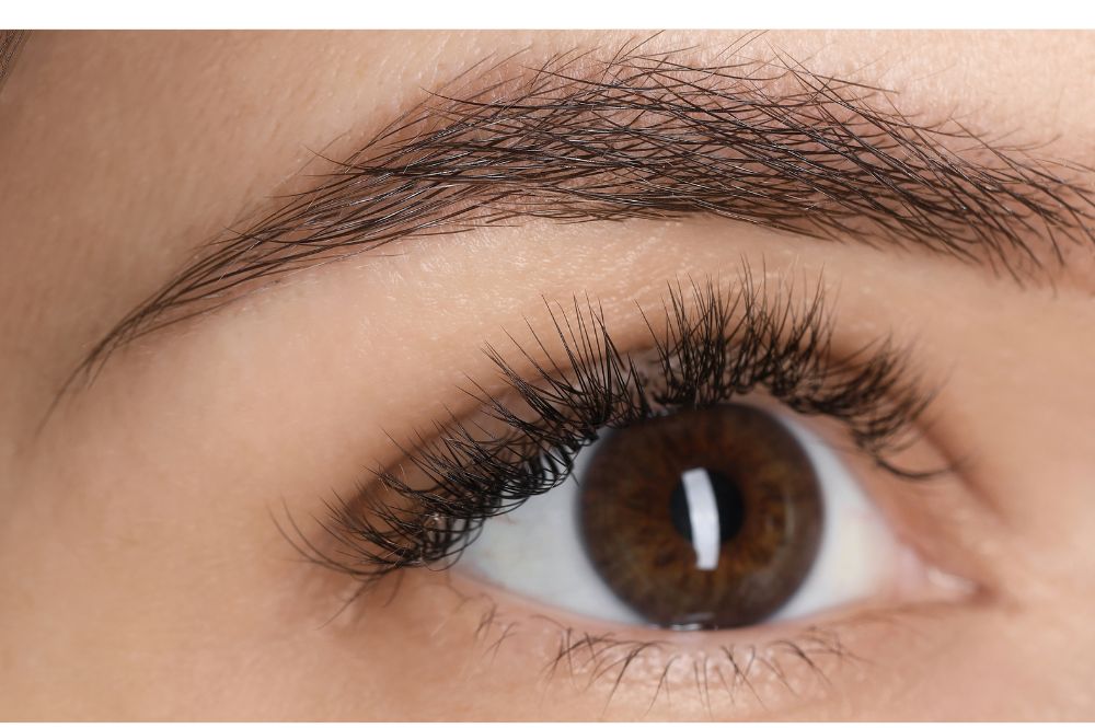 A close-up of an eye with beautiful lashes